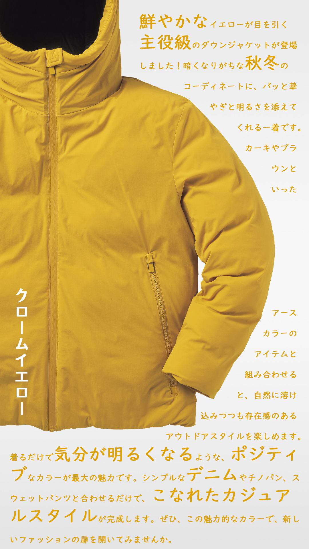 GIGA PUFF フュージョンダウンフーディ