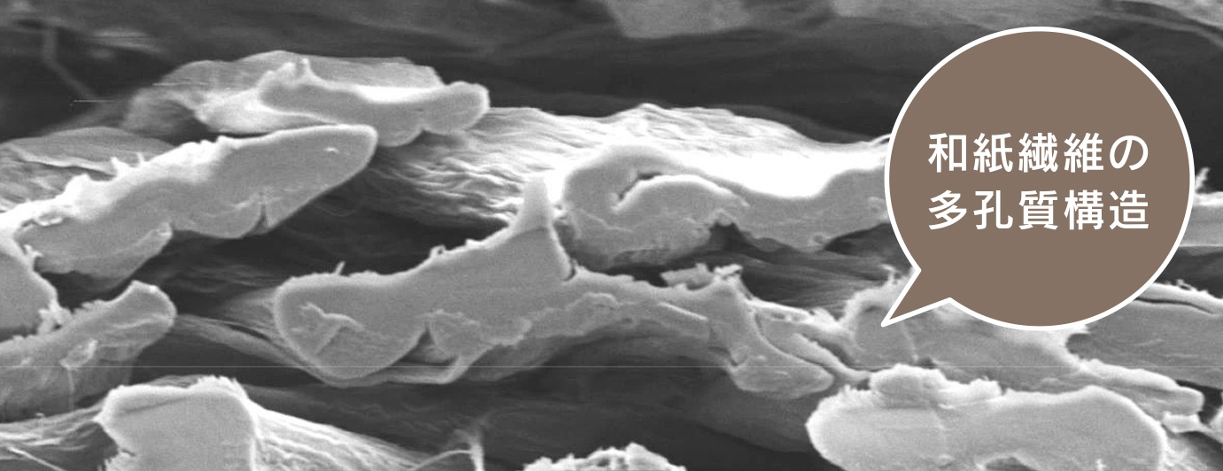 和紙繊維の多孔質構造