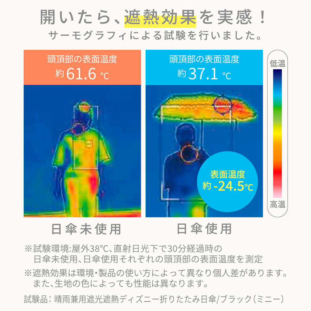 ブラック(ミニー)